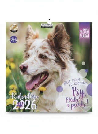 Kukartka Kalendarz ścienny classic PSY 300mm x 300mm Kukartka