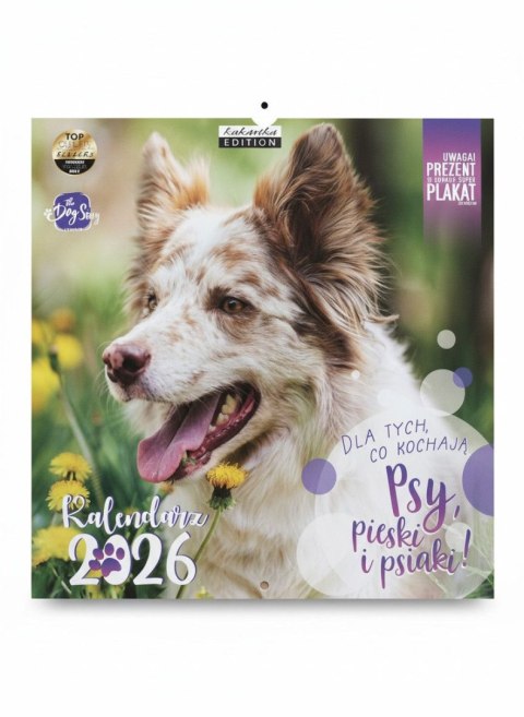 Kukartka Kalendarz ścienny classic PSY 300mm x 300mm Kukartka