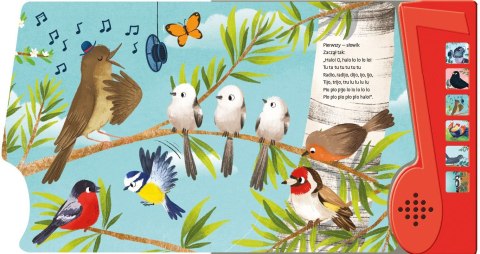 Morex Książka dla dzieci dźwiękowa Ptasie Radio Morex