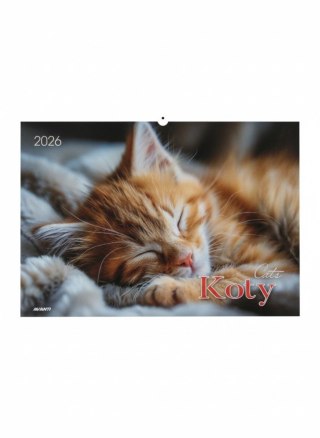 Avanti Kalendarz ścienny KOTY wieloplanszowy 285mm x 410mm Avanti (KA-1)