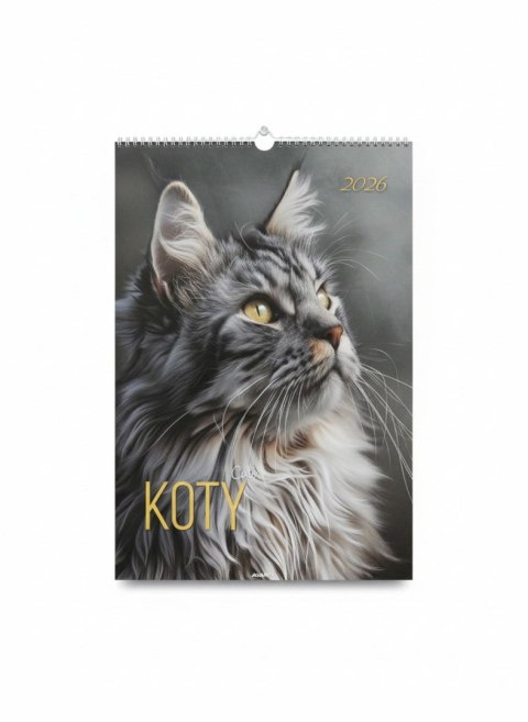 Avanti Kalendarz ścienny KOTY wieloplanszowy paskowy 285mm x 410mm Avanti (A3-13)