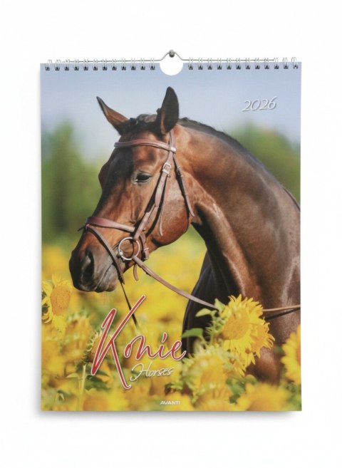 Avanti Kalendarz ścienny MAŁY SPIRALA KONIE 230mm x 305mm Avanti (KSMS-5)