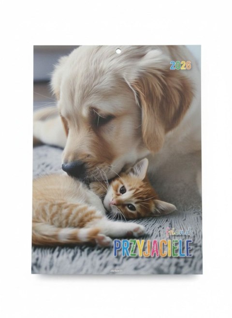 Avanti Kalendarz ścienny MAŁY wieloplanszowy 230mm x 320mm Avanti (KSM-7)