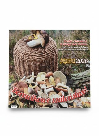 Avanti Kalendarz ścienny wieloplanszowy 300mm x 300mm Avanti (5901769621138)