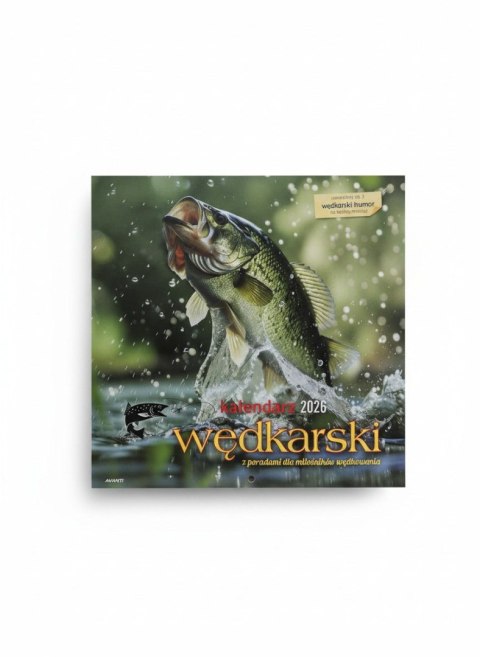 Avanti Kalendarz ścienny wieloplanszowy 300mm x 600mm Avanti (5901769620971)