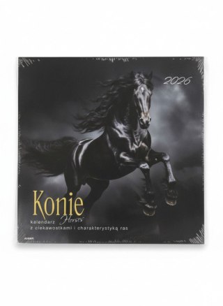 Avanti Kalendarz ścienny wieloplanszowy 300mm x 600mm Avanti (KAD-11)