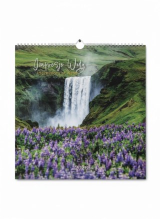 Avanti Kalendarz ścienny wieloplanszowy 330mm x 330mm Avanti (5901769620179)