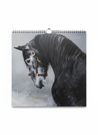 Avanti Kalendarz ścienny wieloplanszowy 330mm x 330mm Avanti (5901769620292)