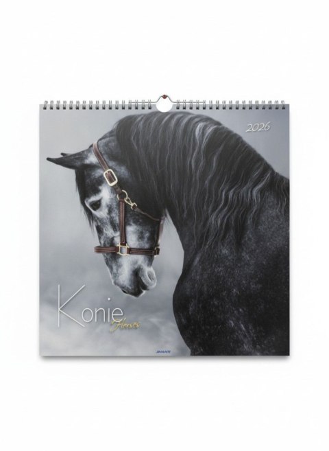 Avanti Kalendarz ścienny wieloplanszowy 330mm x 330mm Avanti (5901769620292)