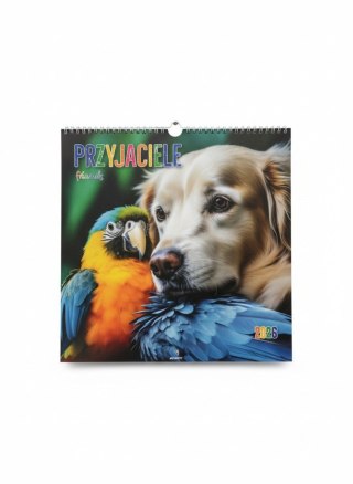 Avanti Kalendarz ścienny wieloplanszowy 330mm x 330mm Avanti (KD-19)