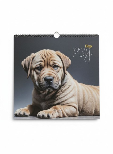 Avanti Kalendarz ścienny wieloplanszowy 330mm x 330mm Avanti (KD-20)