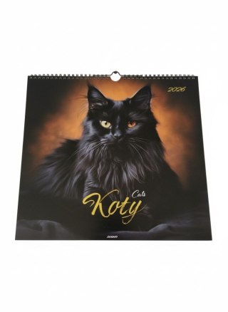 Avanti Kalendarz ścienny wieloplanszowy 330mm x 330mm Avanti (KD-21)