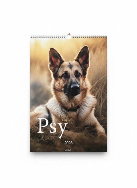 Avanti Kalendarz ścienny wieloplanszowy paskowy 285mm x 410mm Avanti (A3-14)