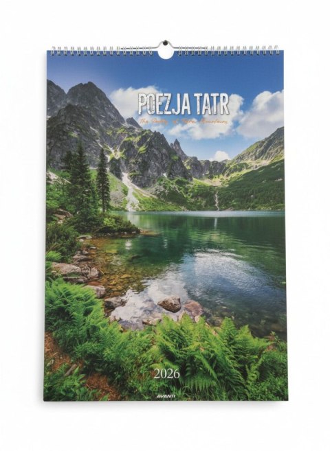 Avanti Kalendarz ścienny wieloplanszowy paskowy 285mm x 420mm Avanti (A3-7)