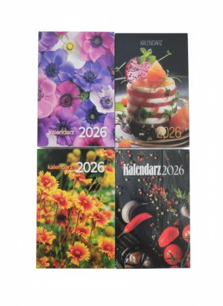 Avanti Kalendarz ścienny zdzierak 65mm x 100mm Avanti (5901769620544)