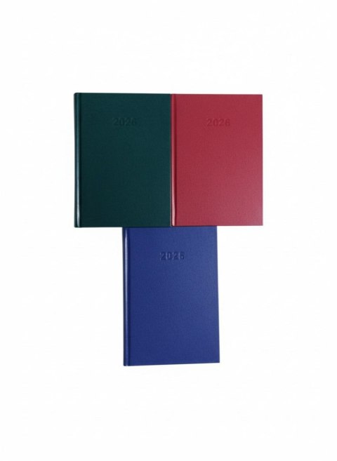 Beskidy Kalendarz książkowy (terminarz) terminarz A5 140mm x 210mm Beskidy (K1)