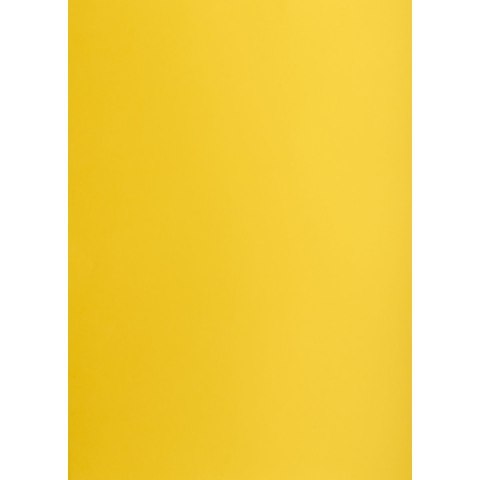 Creatinio Brystol A2 ciemnożółty 160g 25k [mm:] 430x610 Creatinio (400150172)