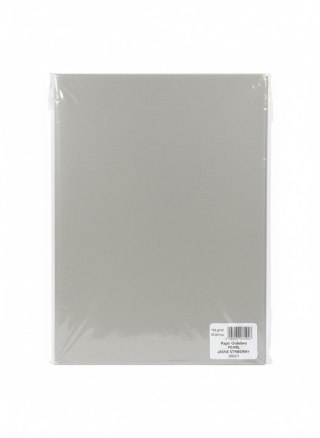 Galeria Papieru Papier ozdobny (wizytówkowy) pearl jasnosrebrny A4 srebrny 135g Galeria Papieru (206213)