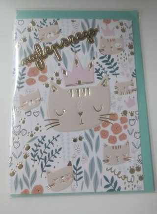 Henry Kartka składana B6 KOTY PATTERN B6 Henry (5908451980672)