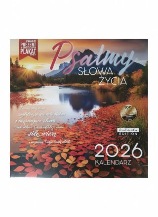 Kukartka Kalendarz ścienny classic Q Plasmy Kukartka