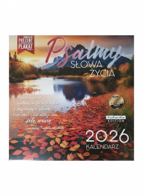 Kukartka Kalendarz ścienny classic Q Plasmy Kukartka