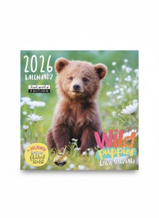 Kukartka Kalendarz ścienny classic Wild Puppies 300mm x 300mm Kukartka