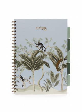 Strigo Kołozeszyt (kołonotatnik) AFRYKA pastelowy niebieski A4 100k. 80g krata Strigo (PADS068)