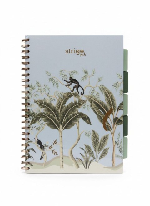 Strigo Kołozeszyt (kołonotatnik) AFRYKA pastelowy niebieski A4 100k. 80g krata Strigo (PADS068)