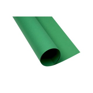 TOP-2000 Brystol A2 ciemnozielony 160g 25k [mm:] 430x610 TOP-2000 (400150195)