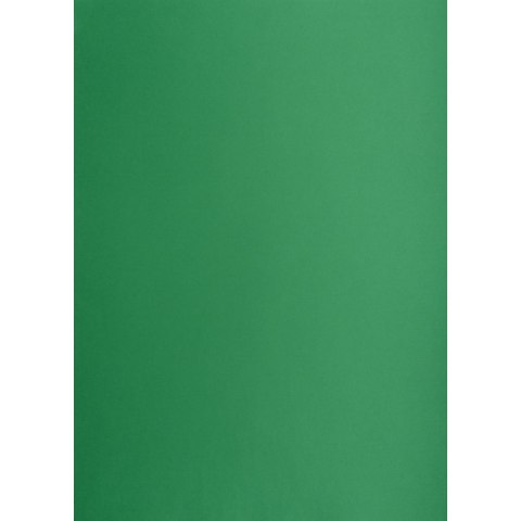 TOP-2000 Brystol A2 ciemnozielony 160g 25k [mm:] 430x610 TOP-2000 (400150195)