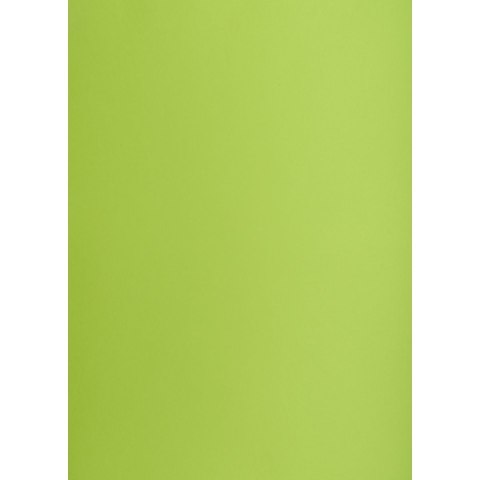 TOP-2000 Brystol A2 jasnozielony 160g 25k [mm:] 430x610 TOP-2000 (400150192)
