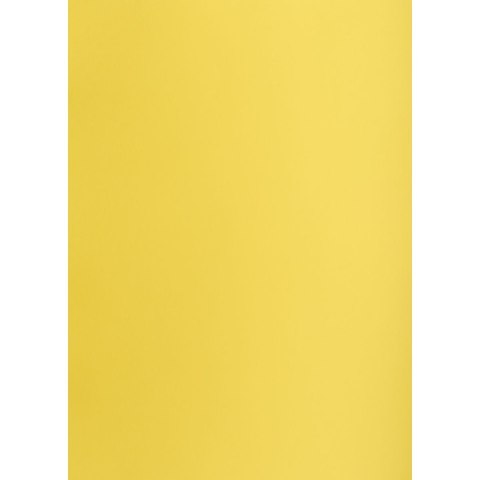 TOP-2000 Brystol kanarkowy A2 żółty 160g 25k [mm:] 430x610 TOP-2000 (400150179)