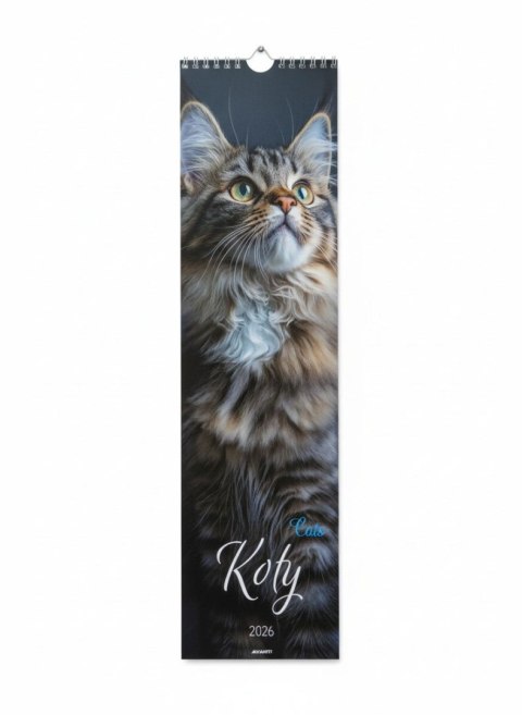 Avanti Kalendarz ścienny paskowy Koty 130mm x 460mm Avanti (5901769620391)