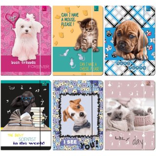 Ev-corp Teczka kartonowa na gumkę A4 mix Ev-corp (TA4BF1)