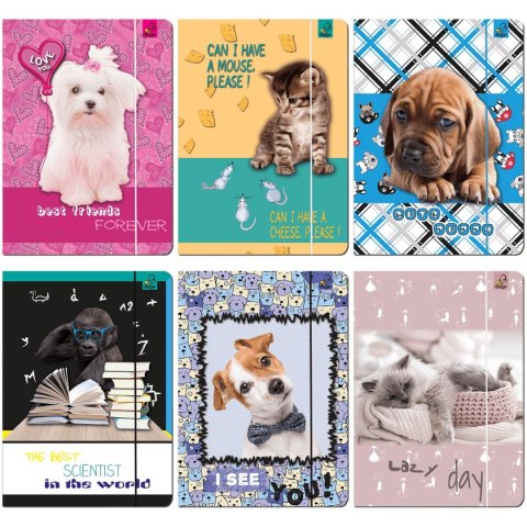 Ev-corp Teczka kartonowa na gumkę A4 mix Ev-corp (TA4BF1)