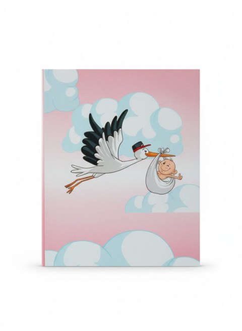 Gedeon Album kieszeniowy 200 kieszeni Gedeon (DPH46200STORKPINK)