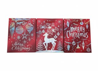 Ju Piter Torba prezentowa [mm:] 180x230x 100 Ju Piter (JP-ŚW 564C 18x23x10)