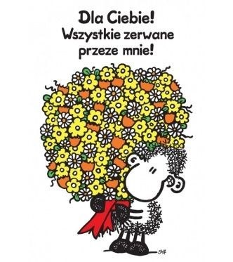 Kukartka Kartka składana Sheepworld B6 [mm:] 148x105 Kukartka