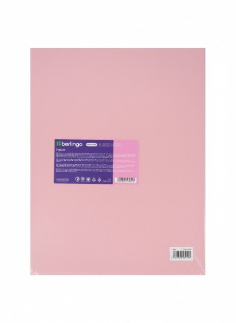 Berlingo Teczka ofertowa A4 kolor: mix 20 kieszeni Berlingo (352615)
