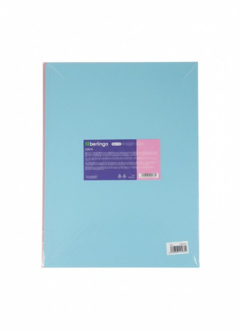 Berlingo Teczka ofertowa A4 kolor: mix 30 kieszeni Berlingo (352602)