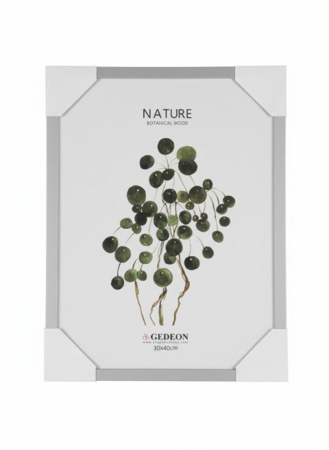 Gedeon Ramka [mm:] 300x400 Gedeon (D330)