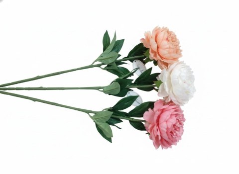 Home And Garden Kwiaty piwonia 68cm mix Home And Garden (2991)