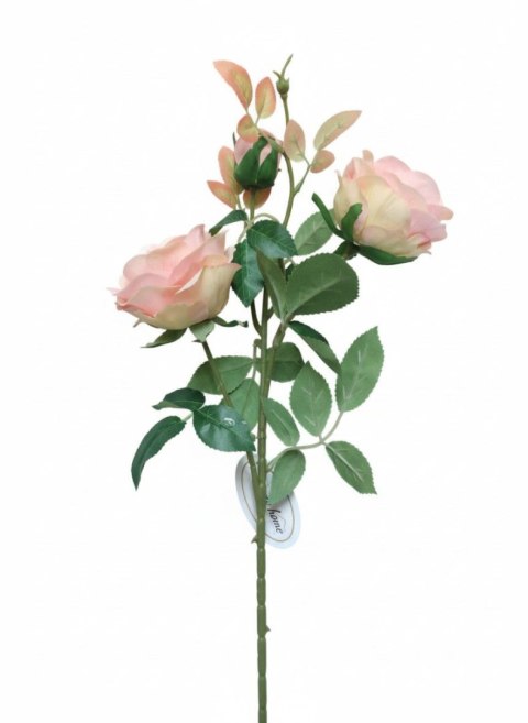Home And Garden Kwiaty róża 3 szt. 67cm brzoskwiniowa Home And Garden (6720)