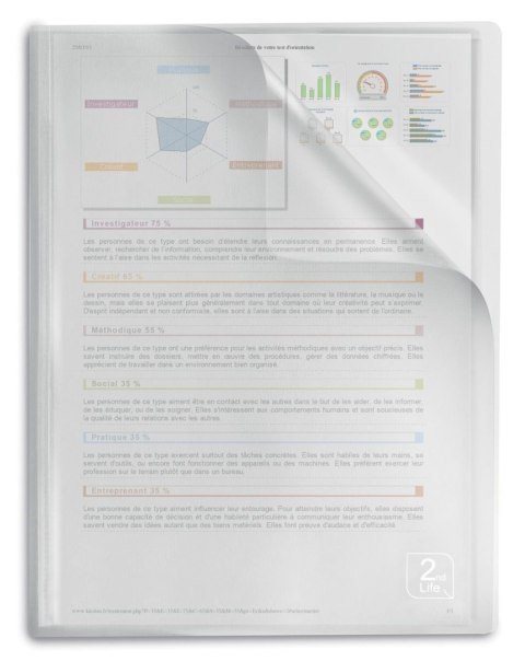 Oxford Album ofertowy Elba 2Life A4 40 kieszeni (400059343)