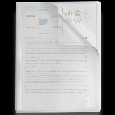 Oxford Album ofertowy Elba 2Life A4 40 kieszeni (400059343)