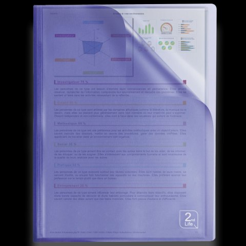 Oxford Album ofertowy Elba 2Life A4 40 kieszeni (400059343)