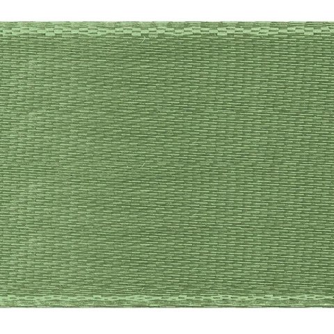Titanum Wstążka Craft-fun Series satynowa 50x25 [mm x m] zielony jasny Titanum (50/25/109)