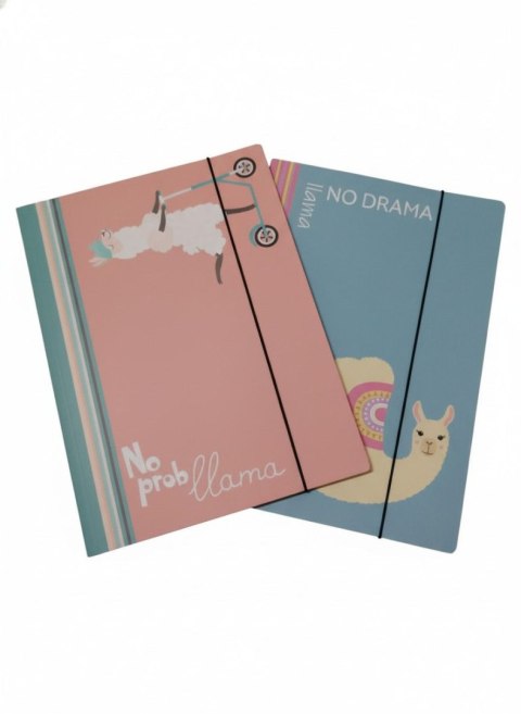 VauPe Teczka kartonowa na gumkę 1-NO PROBllama B4 mix VauPe (302/96)