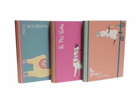 VauPe Teczka kartonowa na gumkę 4cm NO PROBllama B4 mix VauPe (310/96)