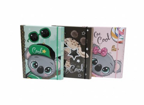 VauPe Teczka kartonowa na gumkę 4cm z gumką-BE COOL B4 mix VauPe (310/95)